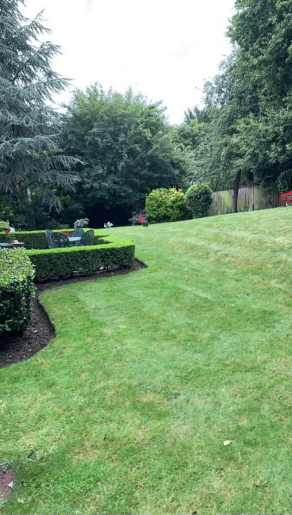Commercial hedge trimming services in South East Surrey