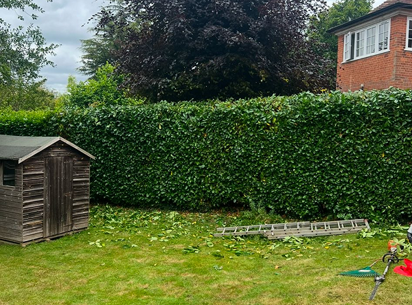 Garden after our maintenance service